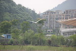 山景