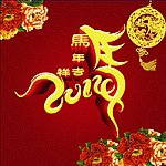 2014 马年