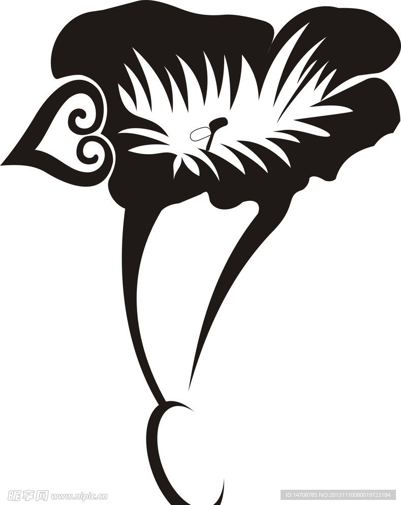 花朵变形