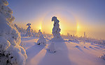 雪景
