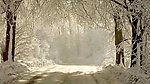 雪景
