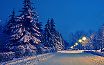 雪景