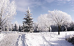 雪景