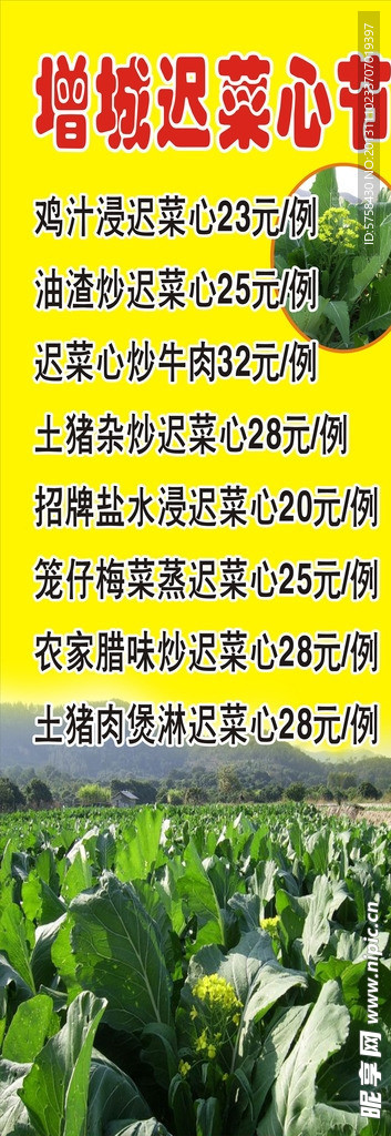 增城迟菜心海报