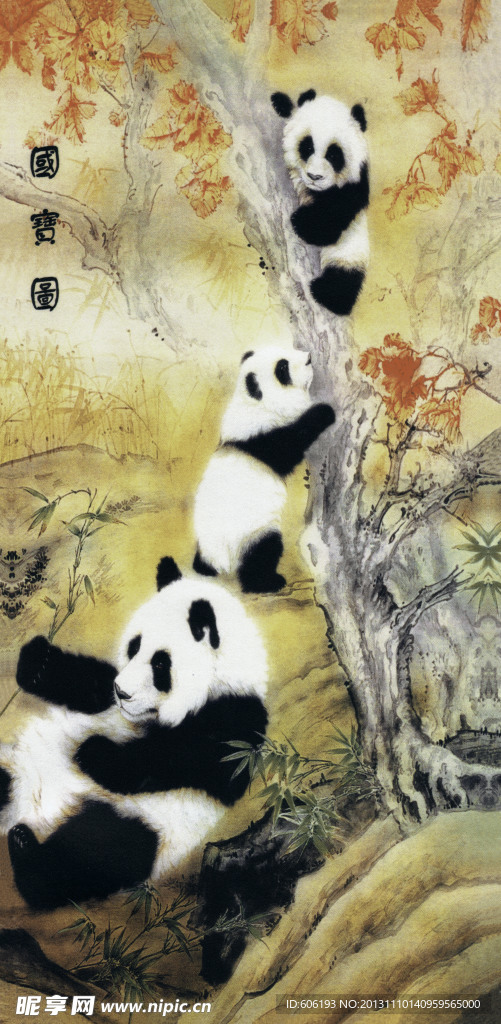 熊猫