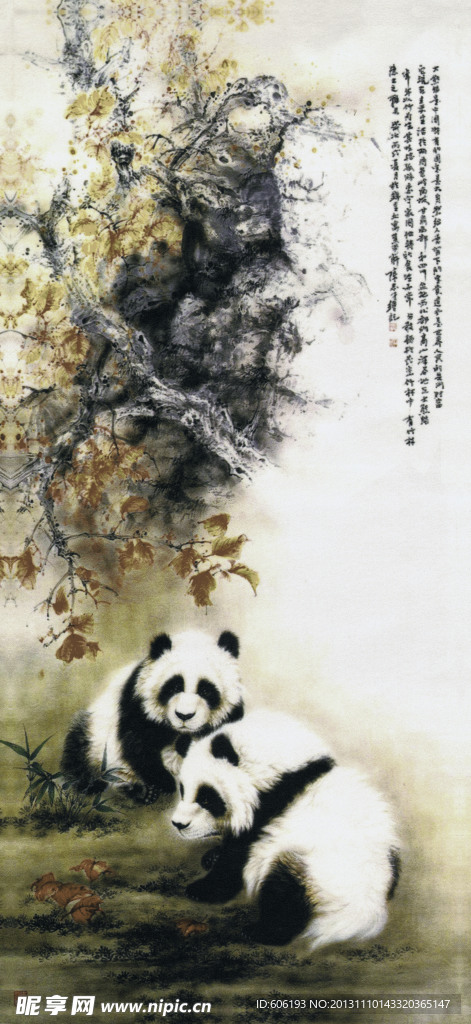 熊猫