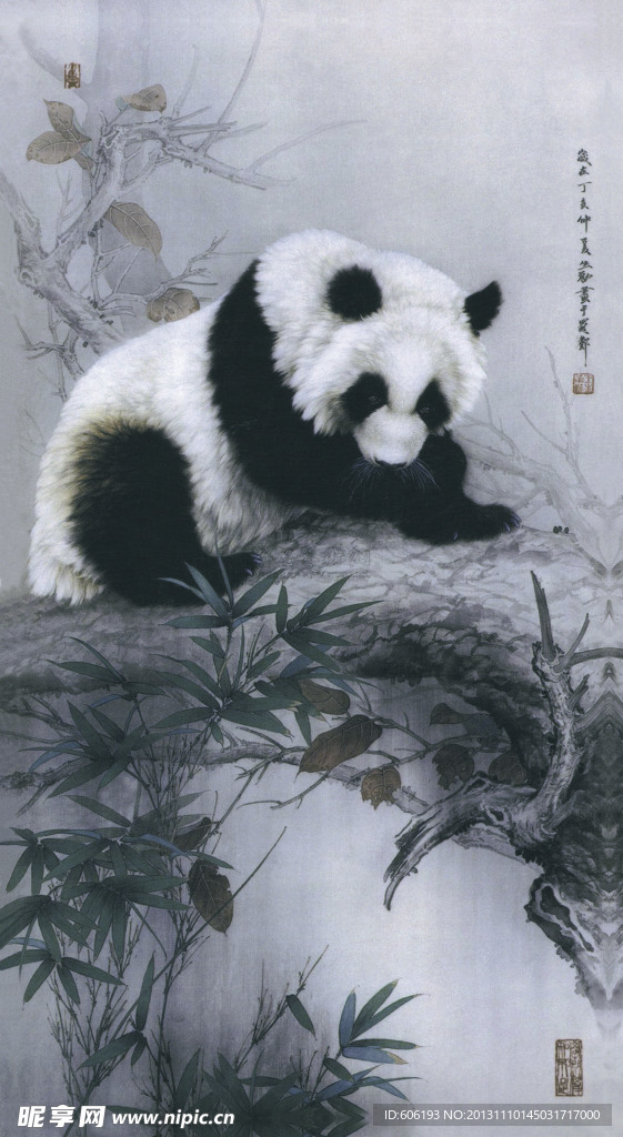 熊猫