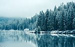 雪景