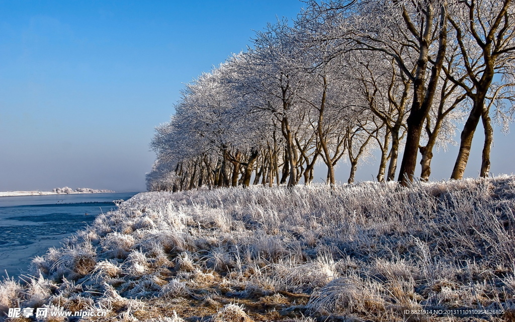 雪景