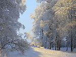 雪景