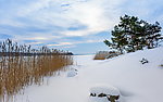 雪景