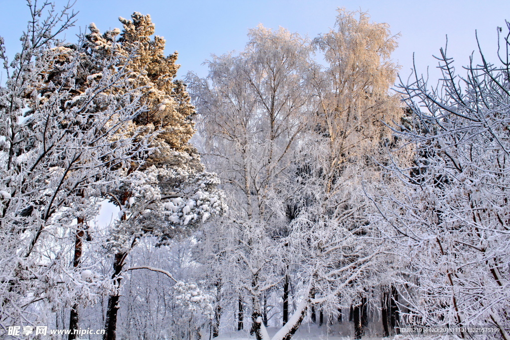 雪景