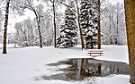 雪景