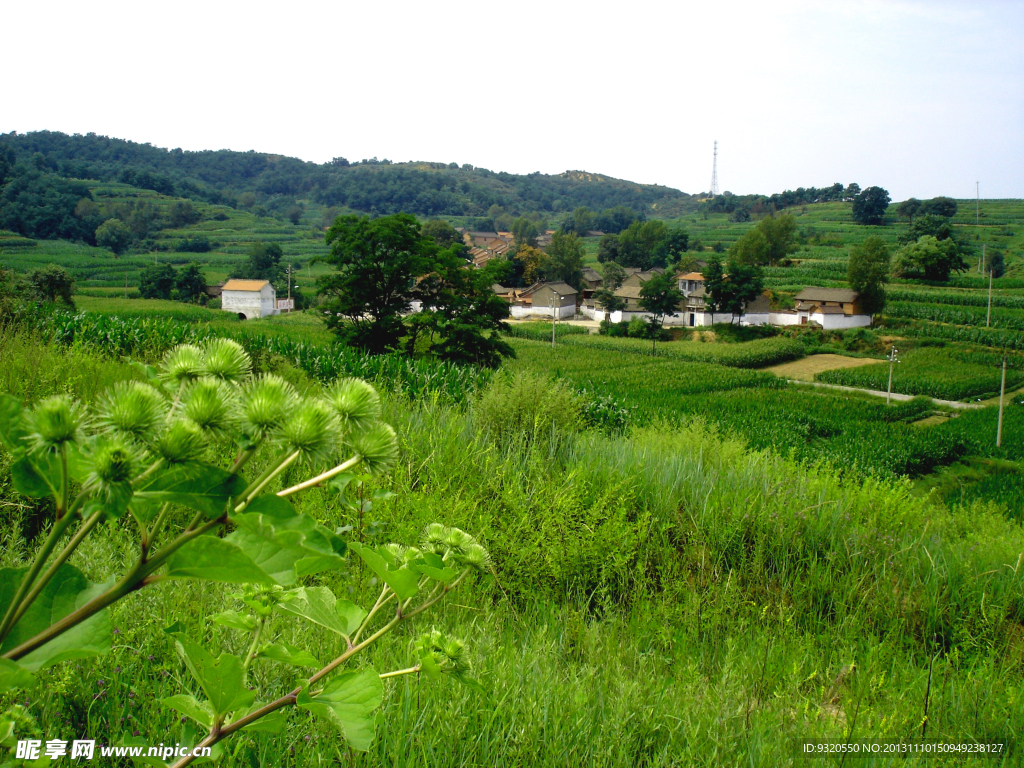 小山村