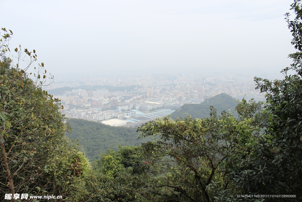 城市