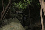 山林