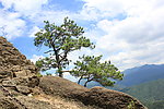 黄山