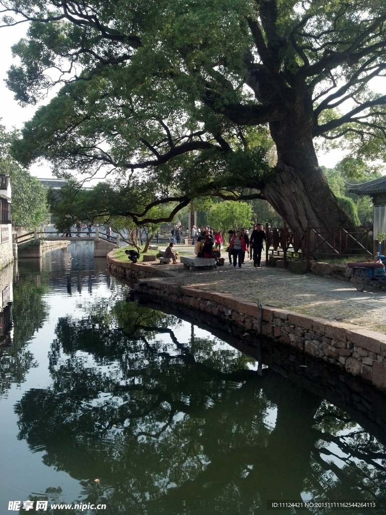 苏州西山明月湾古樟园