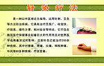 针灸疗法