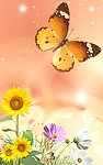 蝴蝶与花