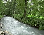 溪水视频素材