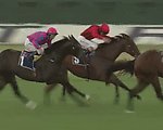 赛马视频素材