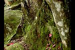 风景视频素材