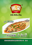 大白刁海报