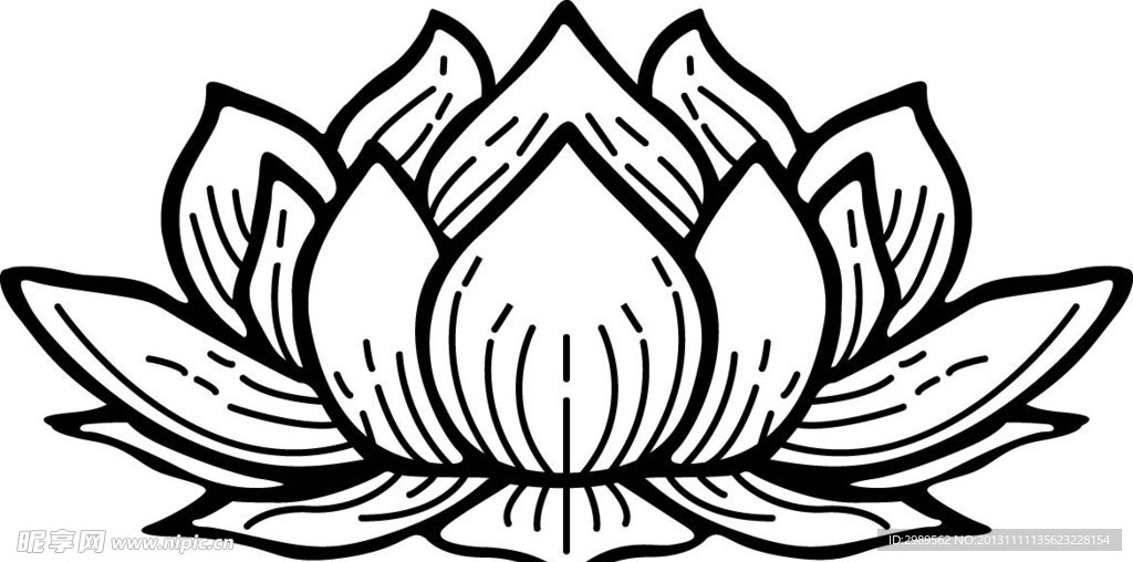 莲花