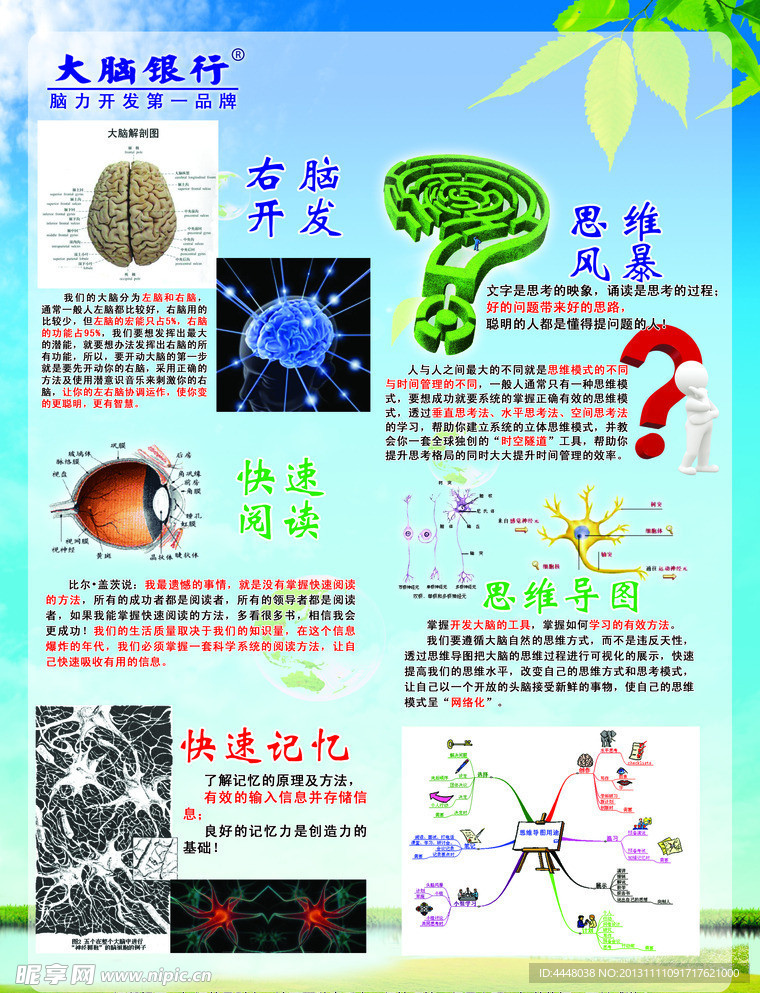 大脑银行