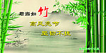 梅兰竹菊 竹子