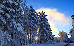 雪景