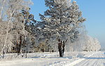 雪景