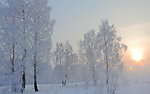 雪景