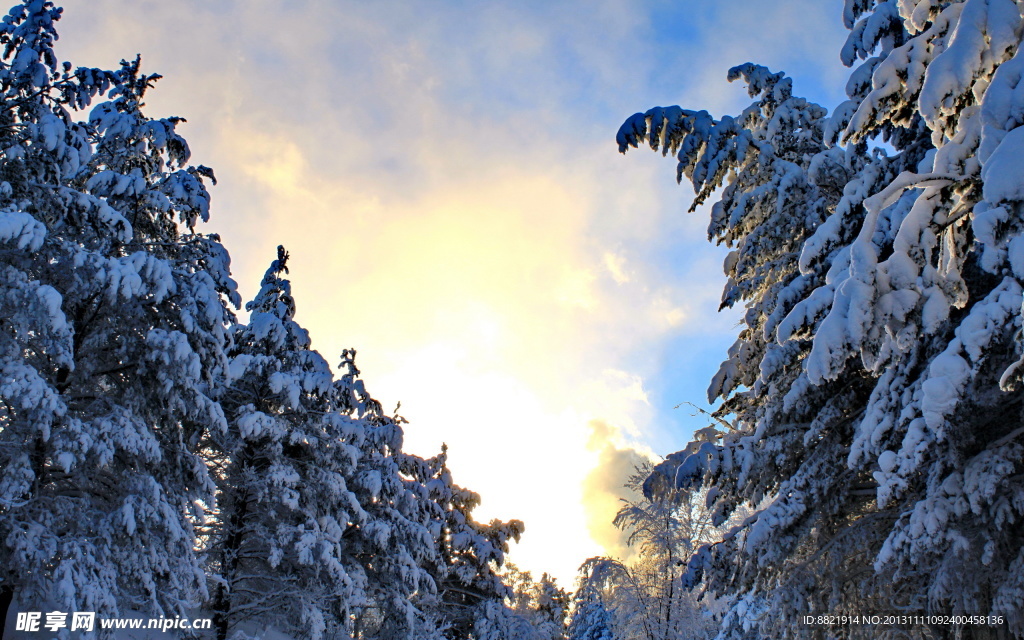 雪景