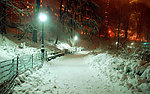 雪景