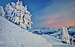 雪景