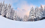 雪景