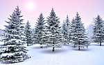 雪景