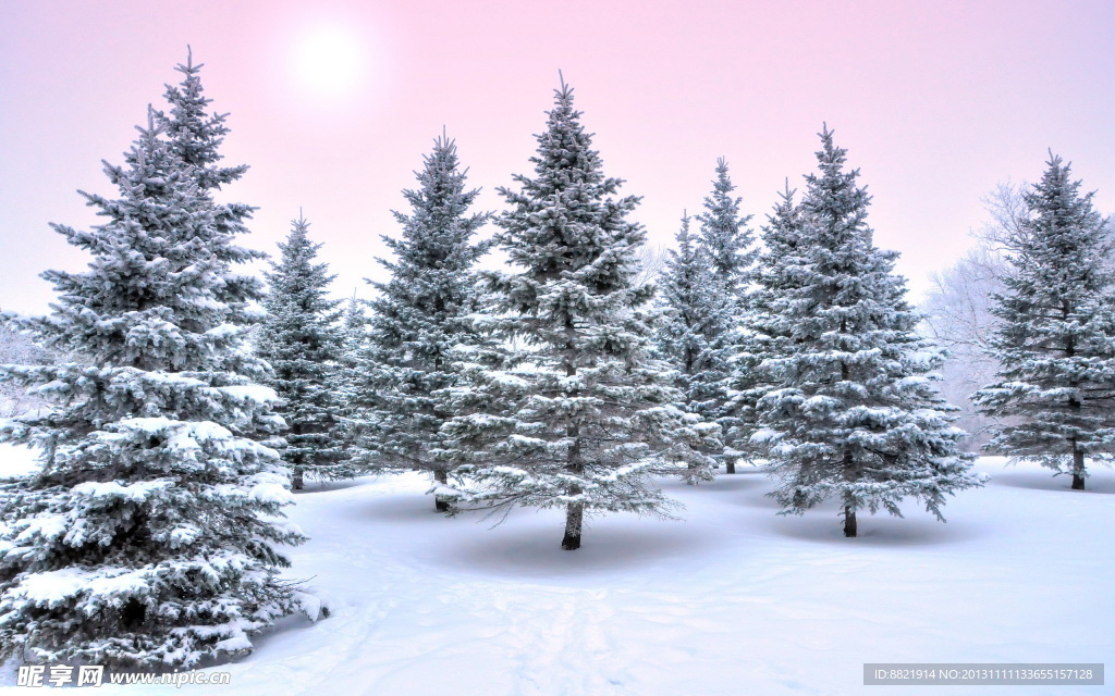 雪景