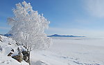 雪景