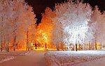 雪景