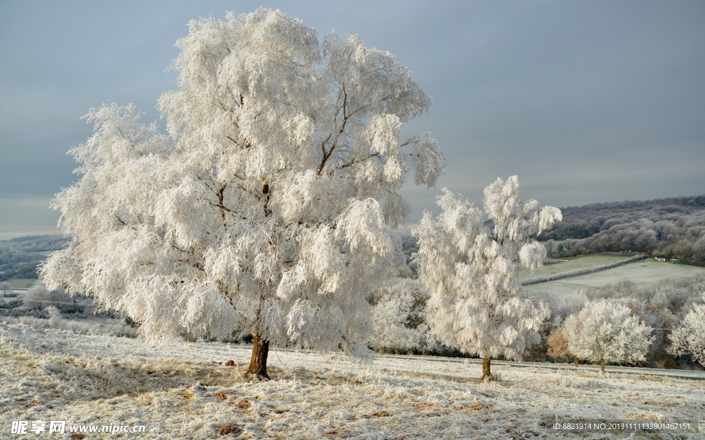 雪景