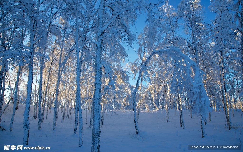 雪景