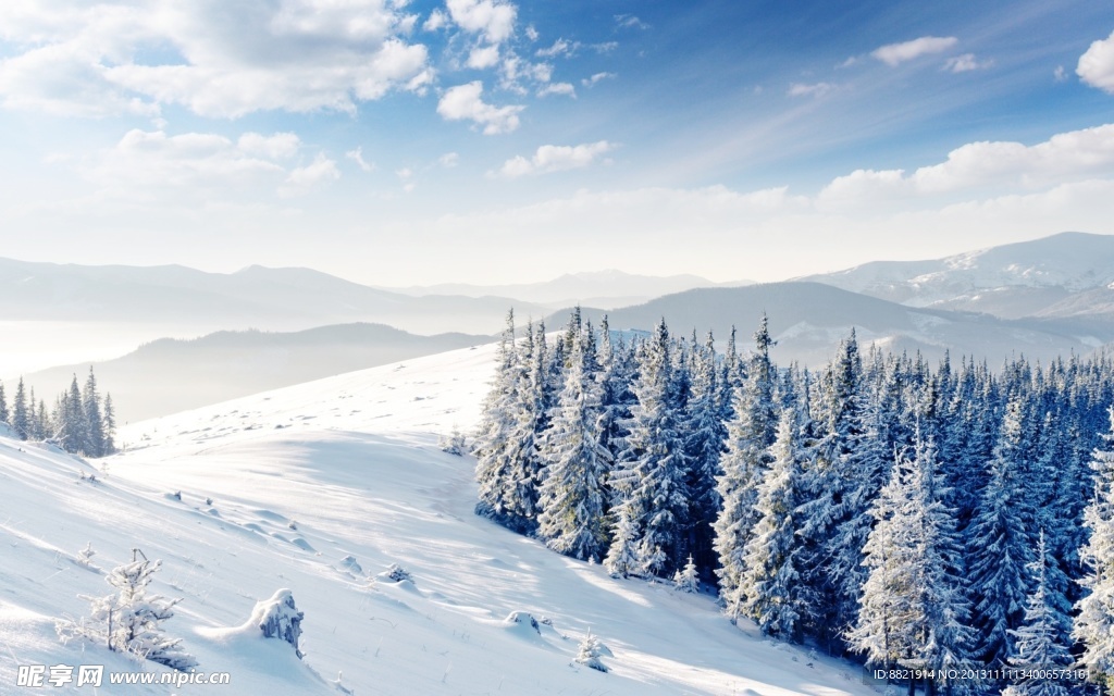 雪景