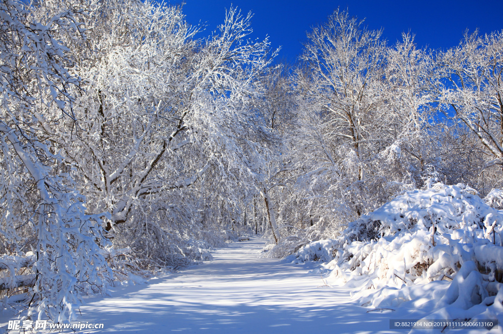 雪景
