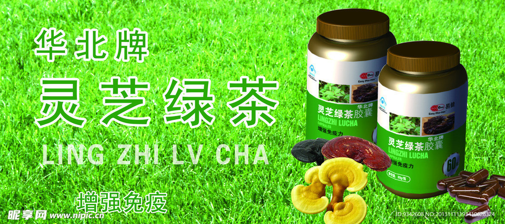 护肤 灵芝