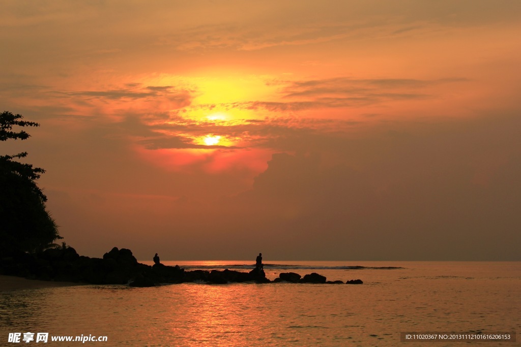 夕阳红