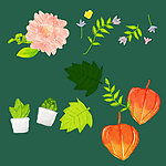 手绘 花纹 花朵