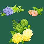 手绘 花纹 花朵